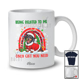 Personalized Custom Name Related To Me Is Only Gift; Lovely Christmas Dachshund Plaid Rainbow T-Shirt