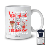 Personalized Custom Name Don't Need A Valentine I Have A Persian Cat; Lovely Animal Owner Lover T-Shirt
