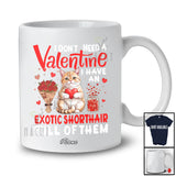 Personalized Custom Name Don't Need A Valentine I Have An Exotic Shorthair; Lovely Animal Owner T-Shirt