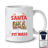 Personalized Custom Name Santa Just Bring Pit Bulls; Lovely Christmas Lights Tree Family T-Shirt