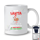 Personalized Custom Name Santa Before I Explain; Lovely Christmas Lights Flamingo Naughty T-Shirt