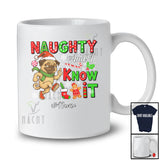 Personalized Custom Name Naughty And I Know It; Humorous Christmas Santa Pug Lover T-Shirt