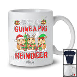 Personalized Custom Name All Of The Guinea Pig Reindeer; Adorable Christmas Animal Lover T-Shirt