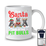 Dear Santa Just Bring Pit Bulls; Awesome Christmas Lights Snowing; X-mas Family Group T-Shirt