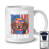 Just Here To Bang, Awesome 4th Of July American Flag Glasses Dachshund, Vintage Patriotic T-Shirt