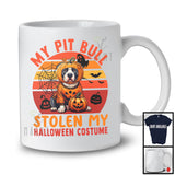 My Pit Bull Stolen My Halloween Costume; Creepy Animal Pumpkin Retro; Family Group T-Shirt