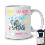 Personalized Custom Name Best Granny Ever Just Ask, Adorable Mother's Day Elephant, Family T-Shirt