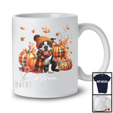 Personalized Custom Name Boston Terrier Plaid Pumpkins; Thanksgiving Fall Leaves; Family T-Shirt