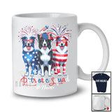 Personalized Custom Name Patriotic Squad; Proud 4th Of July US Flag Three Border Collie Owner T-Shirt