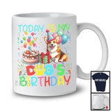 Today Is My Dog's Birthday, Lovely Birthday Party Corgi Owner Lover, Friends Family Team T-Shirt