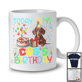 Today Is My Dog's Birthday, Lovely Birthday Party Dachshund Owner Lover, Friends Family Team T-Shirt