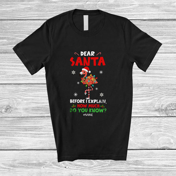 MacnyStore - Personalized Custom Name Santa Before I Explain; Lovely Christmas Lights Flamingo Naughty T-Shirt