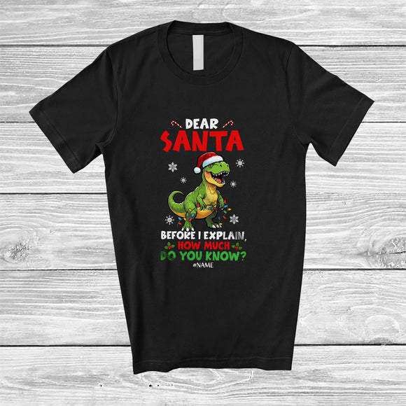 MacnyStore - Personalized Custom Name Santa Before I Explain; Lovely Christmas Lights T-Rex Naughty T-Shirt
