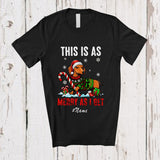 MacnyStore - Personalized Custom Name This Is As Merry As I Get; Humorous Christmas Angry Santa Dachshund T-Shirt