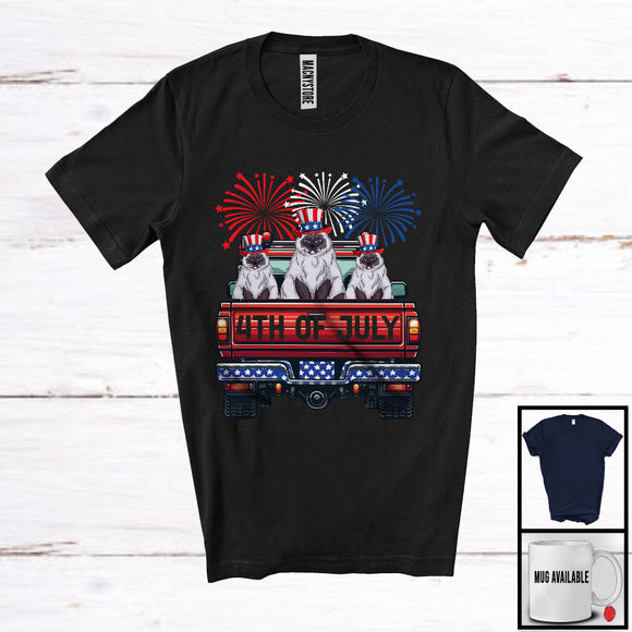 MacnyStore - 4th Of July, Adorable Independence Day Three Himalayan Cat On Truck Fireworks, Patriotic Group T-Shirt
