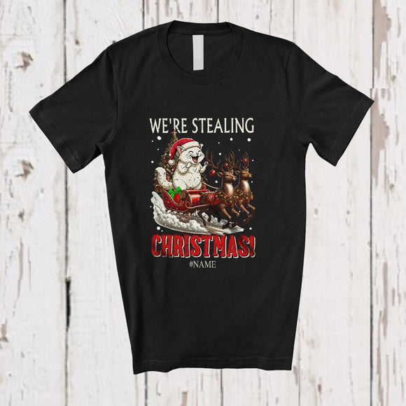 MacnyStore - Personalized Custom Name We're Stealing Christmas; Amusing Santa Cat Sleigh Reindeer T-Shirt