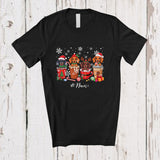 MacnyStore - Personalized Custom Name Four X-mas Dachshund In Coffee Collection; Lovely Christmas Family T-Shirt