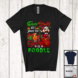 MacnyStore - Dear Santa All I Want For Christmas Is A Poodle; Joyful X-mas Lights Snowing; Family T-Shirt