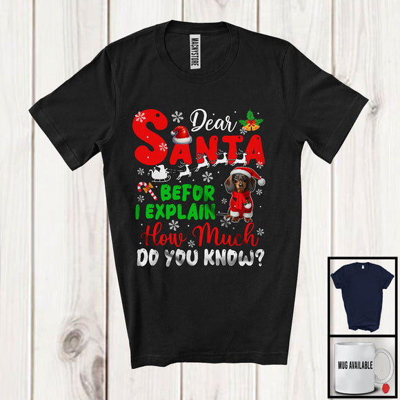 MacnyStore - Dear Santa Before I Explain; Wonderful Christmas Dachshund Santa Naughty; Snowing Family T-Shirt