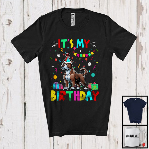 MacnyStore - It's My Birthday; Adorable Birthday Party Celebration Pit Bull Owner Lover; Family Group T-Shirt