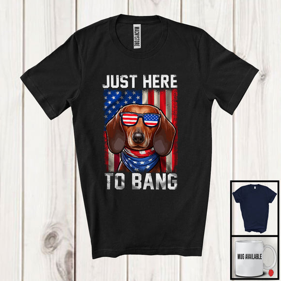MacnyStore - Just Here To Bang, Awesome 4th Of July American Flag Glasses Dachshund, Vintage Patriotic T-Shirt