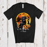 MacnyStore - Personalized Custom Name Black Labrador Retriever; Horror Halloween Moon Pumpkin; Family T-Shirt