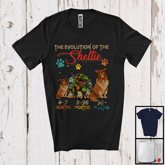 MacnyStore - Evolution Of The Sheltie, Humorous T-Rex Dinosaur Lover Vintage, Matching Family Group T-Shirt