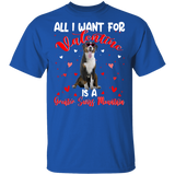 All I Want For Valentine Is A Greater Swiss Mountain T-Shirt - Macnystore