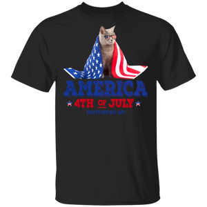 America 4th Of July Independence Day Cool American Flag Cat Shirt Matching Cat Lover Owner Fans US Independence Day Gifts T-Shirt - Macnystore