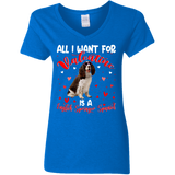 All I Want For Valentine Is A English Springer Spaniel Ladies V-Neck T-Shirt - Macnystore