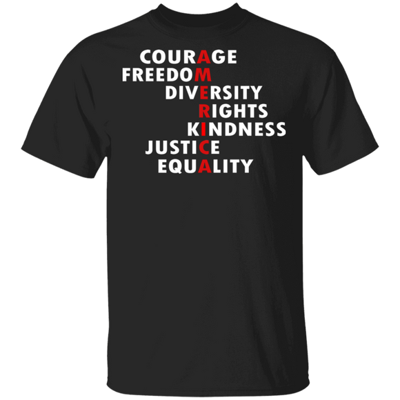 American Courage Freedom Diversity Right Kindness Justice Equality Gifts T-Shirt - Macnystore