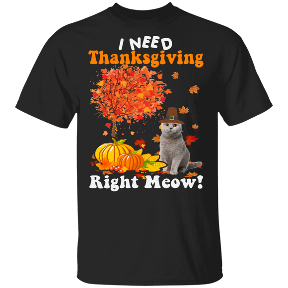 Thanksgiving Cat Lover Shirt I Need Thanksgiving Right Meow Cute Thanksgiving Cat Autumn Lover Gifts Thanksgiving T-Shirt - Macnystore