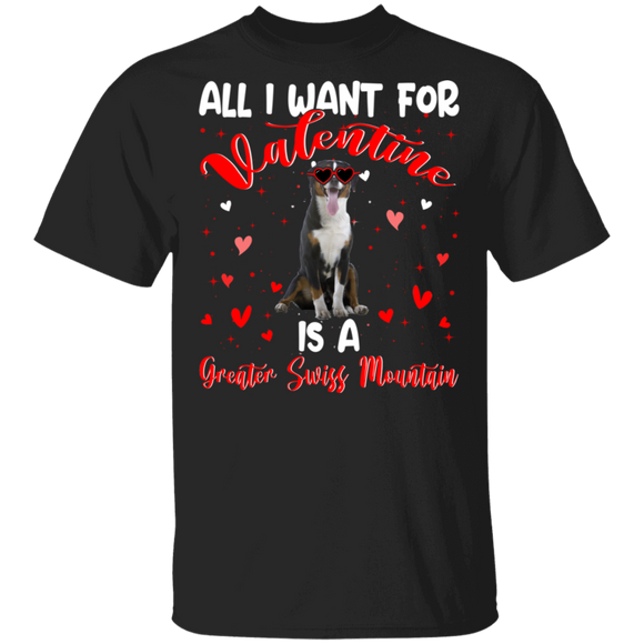 All I Want For Valentine Is A Greater Swiss Mountain Dog Matching Shirts For Couples Boys Girl Women Personalized Valentine T-Shirt - Macnystore