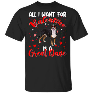 All I Want For Valentine Is A Great Dane Dog Pet Lover Matching Shirts For Couples Boys Girl Women Personalized Valentine T-Shirt - Macnystore