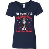 All I Want For Valentine Is A Greater Swiss Mountain Ladies V-Neck T-Shirt - Macnystore