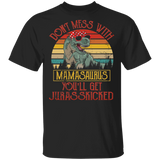 Vintage Retro Don't Mess With Mamasaurus You'll Get Jurasskicked Funny T-Rex Shirt Matching T-Rex Dinosaurs Women Mama Mother's Day Gifts T-Shirt - Macnystore
