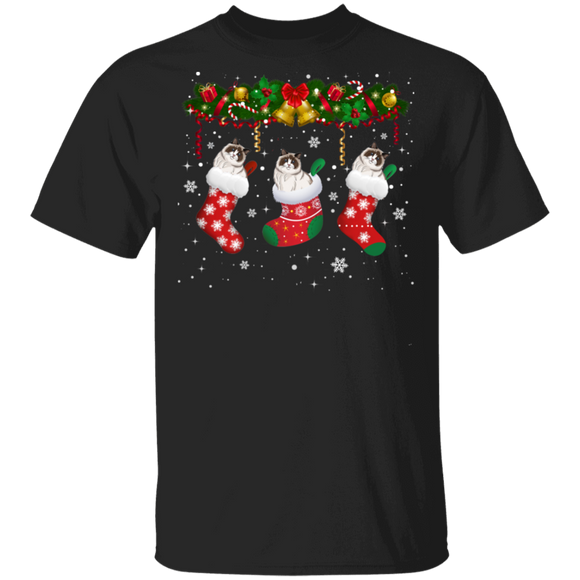 Christmas Cat Shirt Cat In Christmas Socks Cute X-mas Ragdoll Cat Lover Gifts Christmas T-Shirt - Macnystore