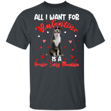 All I Want For Valentine Is A Greater Swiss Mountain T-Shirt - Macnystore