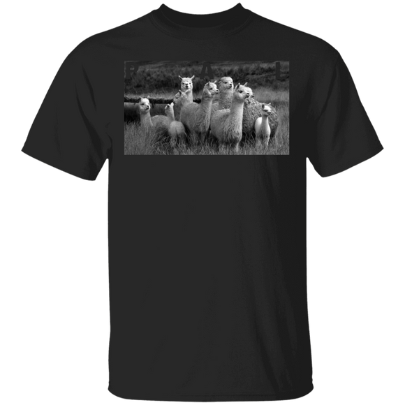 Alpaca Posse Lover Shirt P A L Cool Back And White Alpaca Posse Llama Lover Gifts T-Shirt - Macnystore