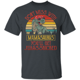 Vintage Retro Don't Mess With Mamasaurus You'll Get Jurasskicked Funny T-Rex Shirt Matching T-Rex Dinosaurs Women Mama Mother's Day Gifts T-Shirt - Macnystore