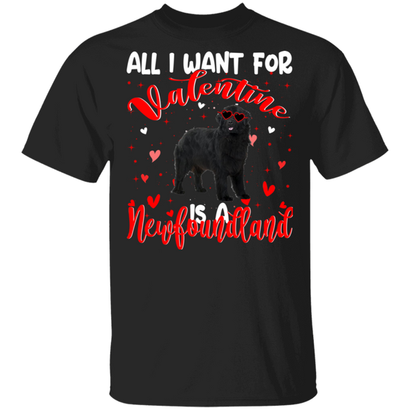 All I Want For Valentine Is A Newfoundland Dog Pet Lover Matching Shirts For Couples Boys Girl Women Personalized Valentine T-Shirt - Macnystore