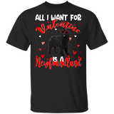 All I Want For Valentine Is A Newfoundland Dog Pet Lover Matching Shirts For Couples Boys Girl Women Personalized Valentine T-Shirt - Macnystore