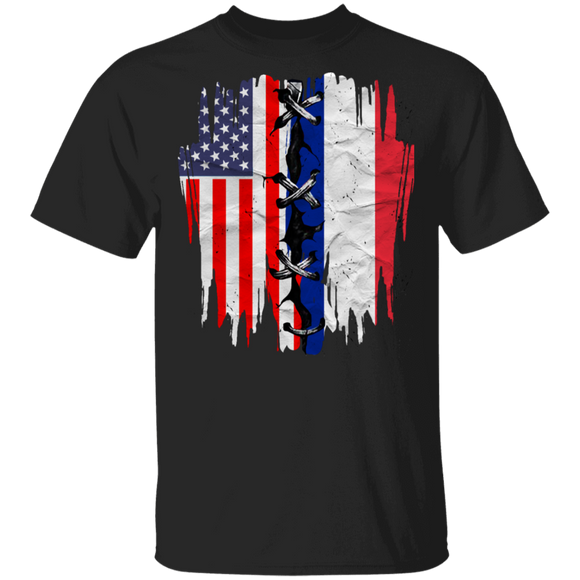 American Flag And French Flag Matching French Americans French Descent Gifts T-Shirt - Macnystore