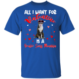 All I Want For Valentine Is A Greater Swiss Mountain Dog Matching Shirts For Couples Boys Girl Women Personalized Valentine T-Shirt - Macnystore