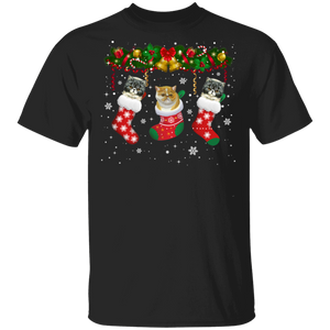 Christmas Cat Shirt Cat In Christmas Socks Cute X-mas Exotic Shorthair Cat Lover Gifts Christmas T-Shirt - Macnystore