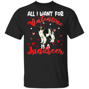 All I Want For Valentine Is A Landseer Dog Pet Lover Matching Shirts For Couples Boys Girl Women Personalized Valentine T-Shirt - Macnystore