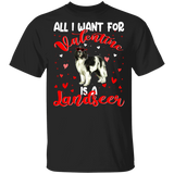 All I Want For Valentine Is A Landseer Dog Pet Lover Matching Shirts For Couples Boys Girl Women Personalized Valentine T-Shirt - Macnystore