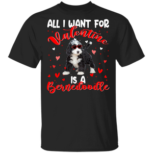 All I Want For Valentine Is A Bernedoodle Dog Pet Lover Matching Shirts For Couples Girl Women Personalized Valentine T-Shirt - Macnystore