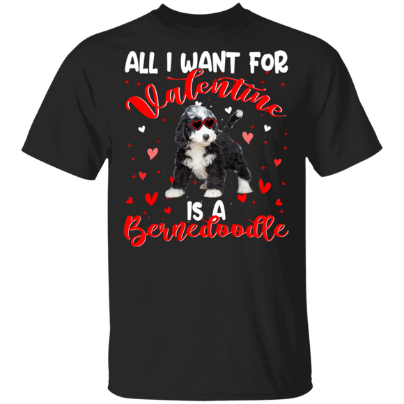 All I Want For Valentine Is A Bernedoodle Dog Pet Lover Matching Shirts For Couples Girl Women Personalized Valentine T-Shirt - Macnystore