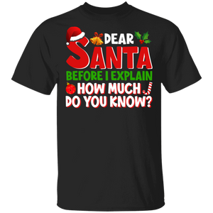 Christmas Santa Shirt Dear Santa Before I Explain How Much Do You Know Funny Christmas Kids Adults Santa Lover Gifts T-Shirt - Macnystore